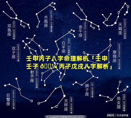 壬申丙子八字命理解析「壬申壬子 🐼 丙子戊戌八字解析」
